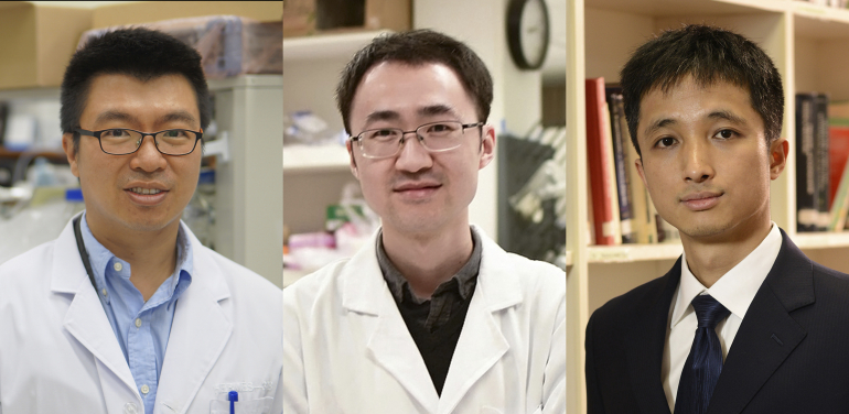 Three distinguished HKU academics receive Croucher Innovation and Senior Research Fellowship Awards. (From left) Professor Anderson Shum, Dr Wang Yufeng and Professor Yao Wang。